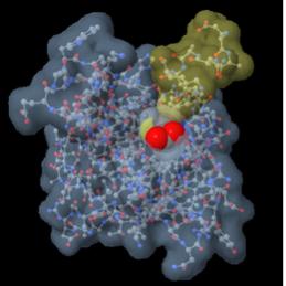 Click image for larger version
Name: chemical32.jpg
Views: 1
Size: 11.2 KB
ID: 44780