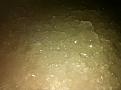 Click image for larger version

Name:	Alum Crystals 002.jpg
Views:	965
Size:	95.2 KB
ID:	44946
