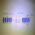 Click image for larger version

Name:	energy with seesaw 1.JPG
Views:	478
Size:	23.1 KB
ID:	51345